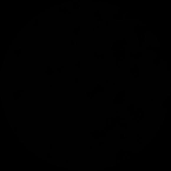 devinjackson281